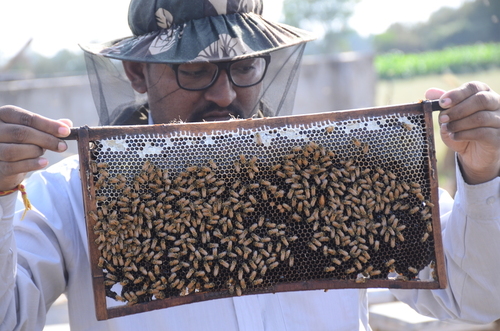 madhudhara honey farming