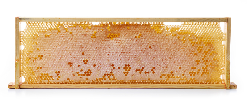 madhudhara honey comb