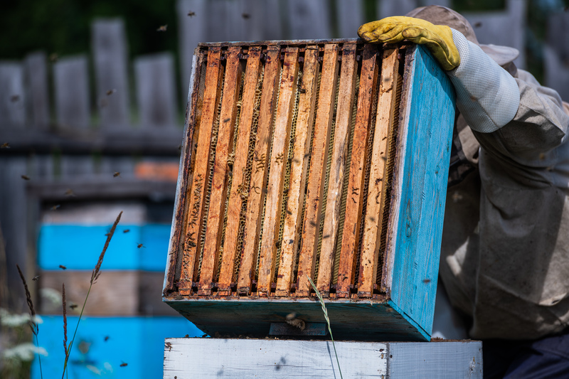 work at madhudhara honey farm