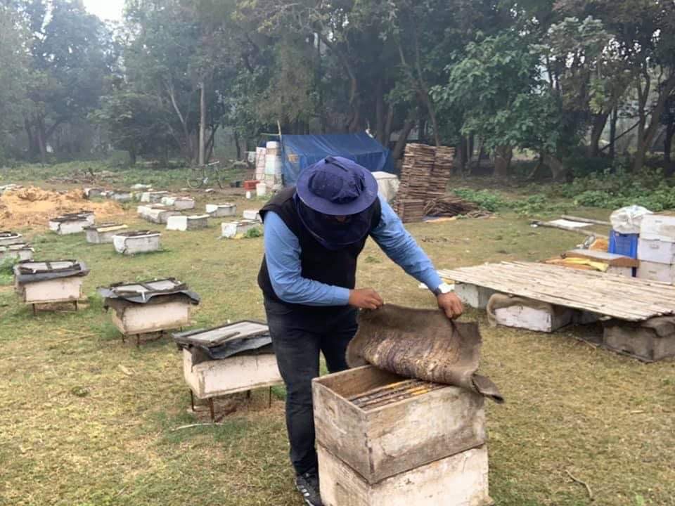 madhudhara beekeeping