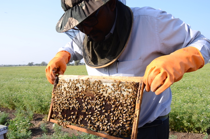work at madhudhara honey bee farm