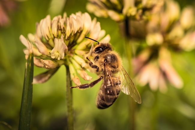 blog thumbnail image