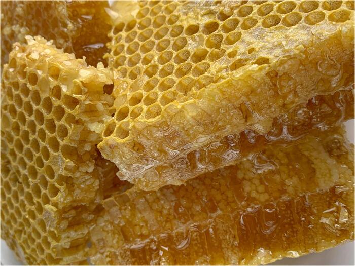 Honey and its importance in Indian Culture-with Madhudhara's Raw Honey
