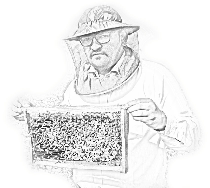 madhudhara bees