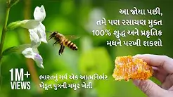 Visual Representation of Madhudhara Bee Hives